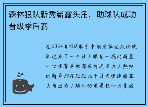 森林狼队新秀崭露头角，助球队成功晋级季后赛